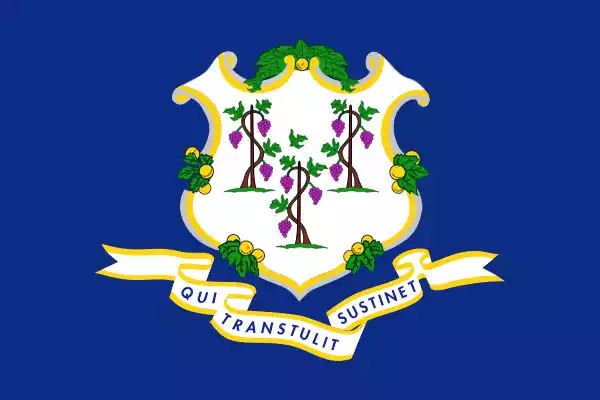 Connecticut Flag